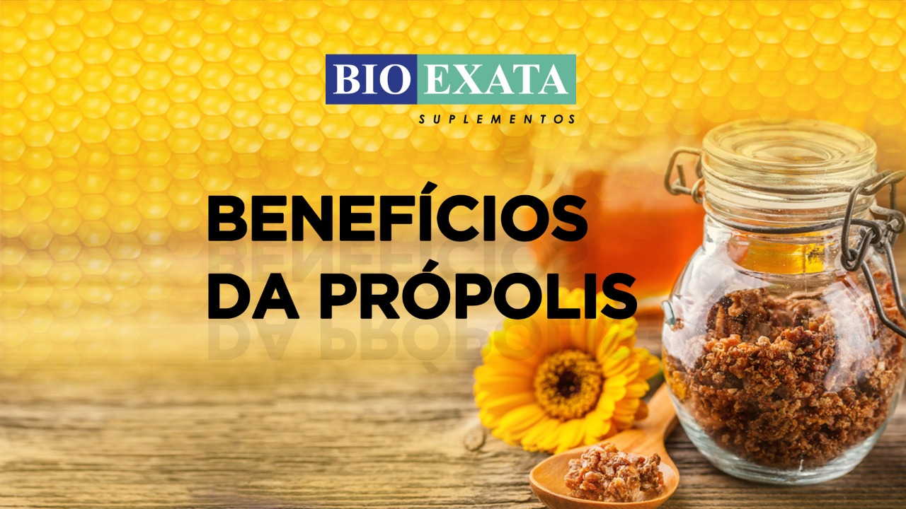 Os benefícios da Própolis